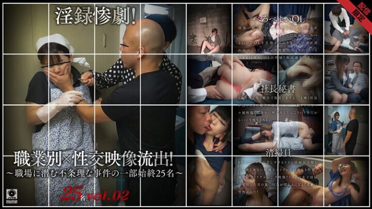 淫録惨劇！職業別×性交映像流出！ ～職場に潜む不条理な事件の一部始終～ 25名 配信専用 2