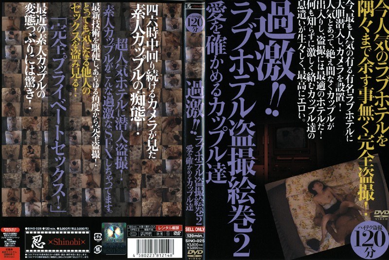 h_210sino025