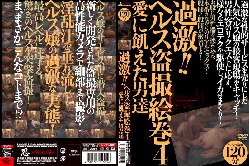 h_210sino096