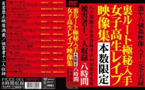 裏ルート極秘入手 女子校生レ●プ映像集