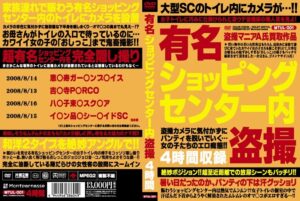 有名ショッピングセンター内盗撮